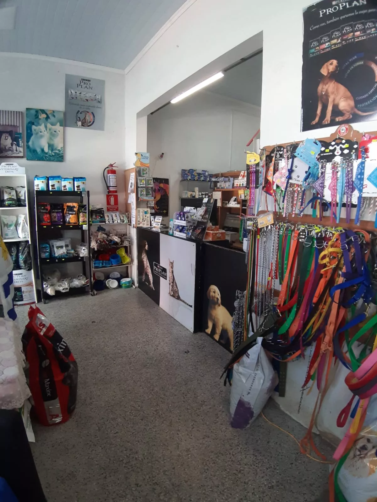 Whatsapp image 2022 11 24 at 1.03.48 pm