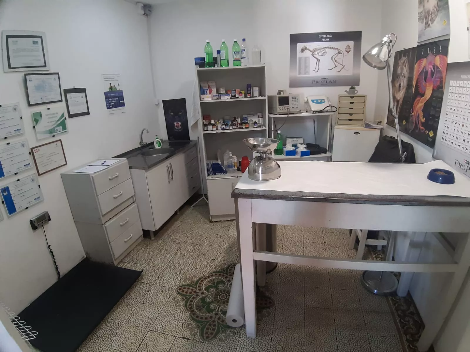 Whatsapp image 2022 11 24 at 1.03.49 pm