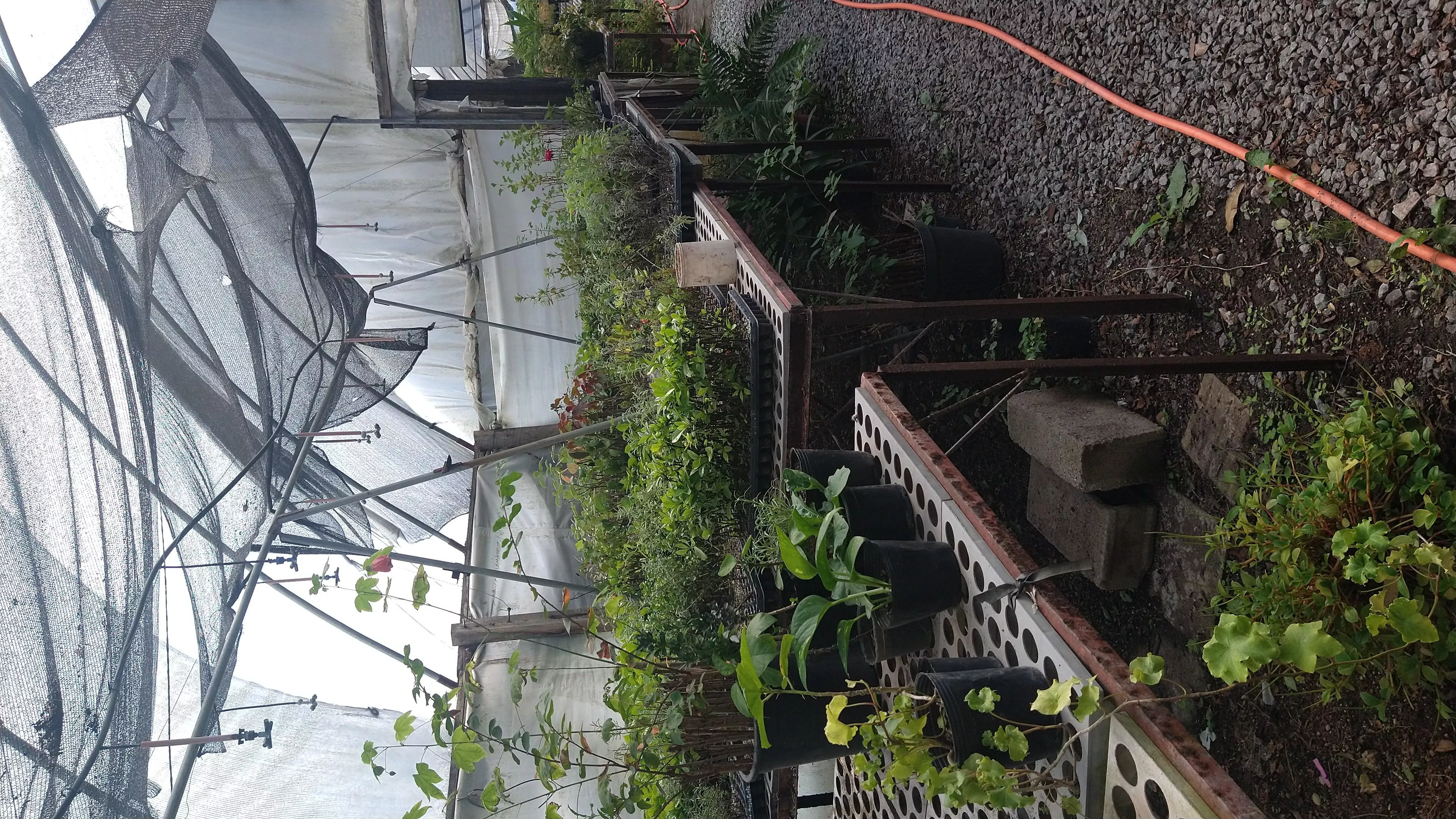 Img 20240318 wa0084