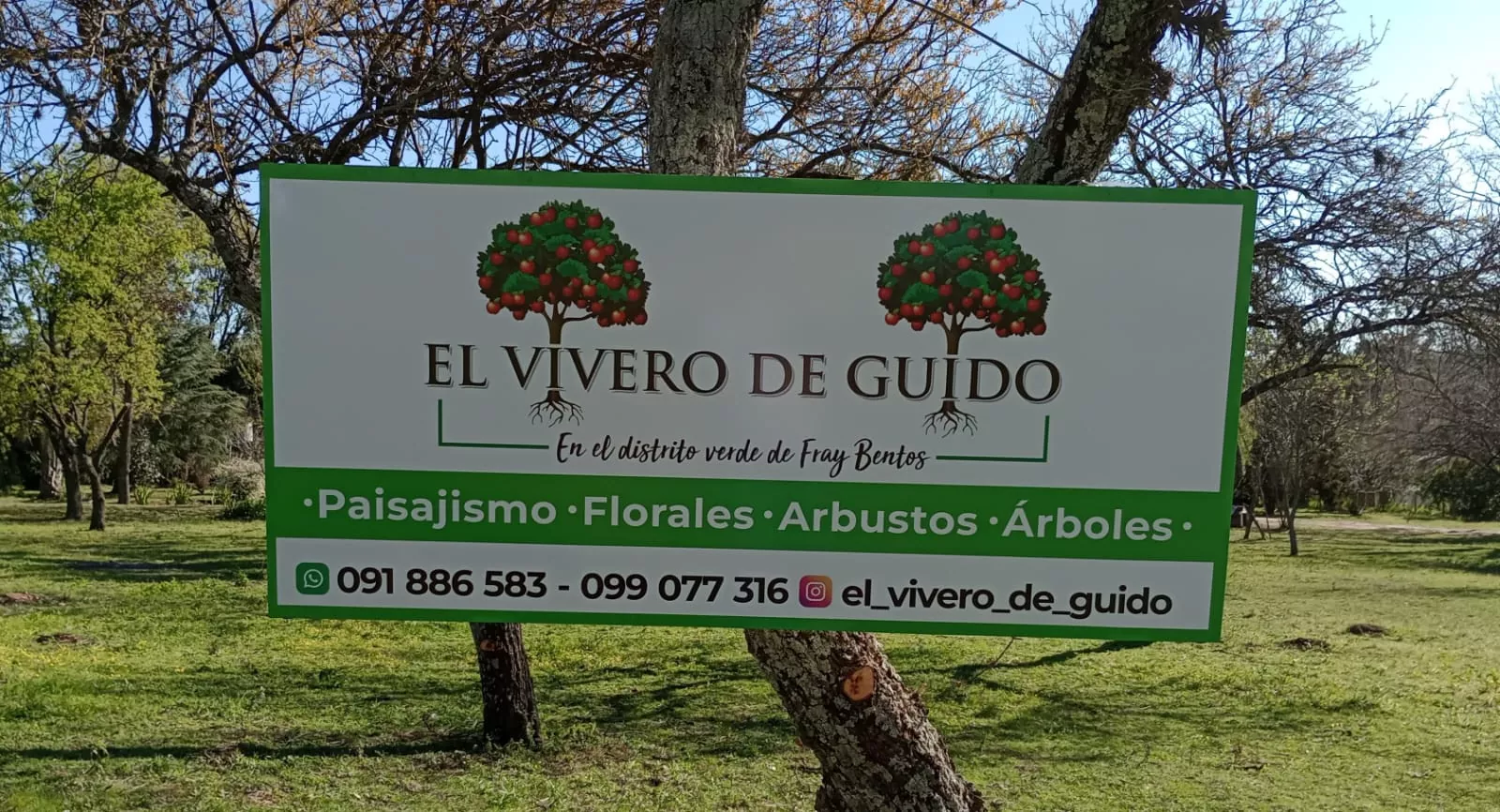 Vivero 04 sept 24