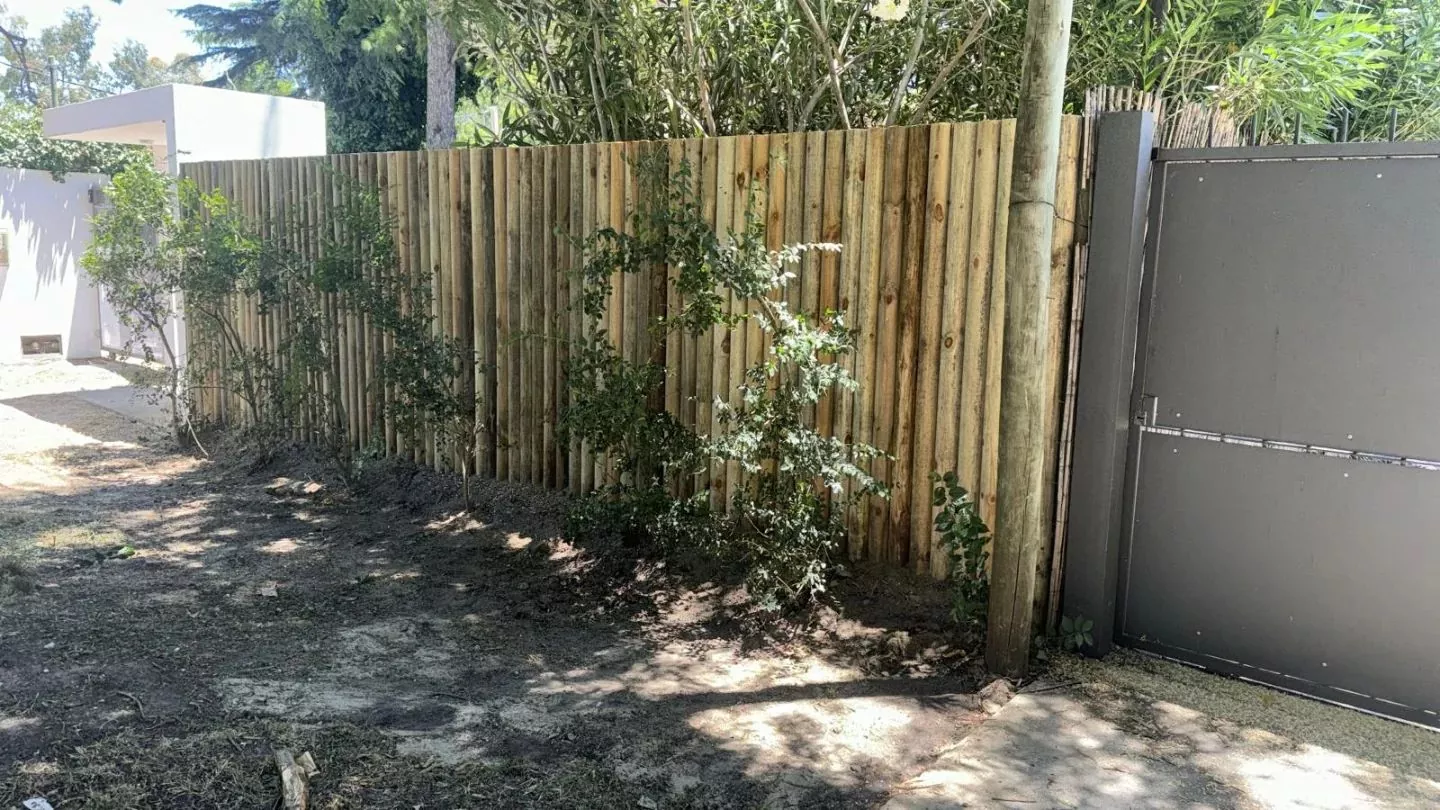 472982423 2016564405473974 1491473393412963896 n.