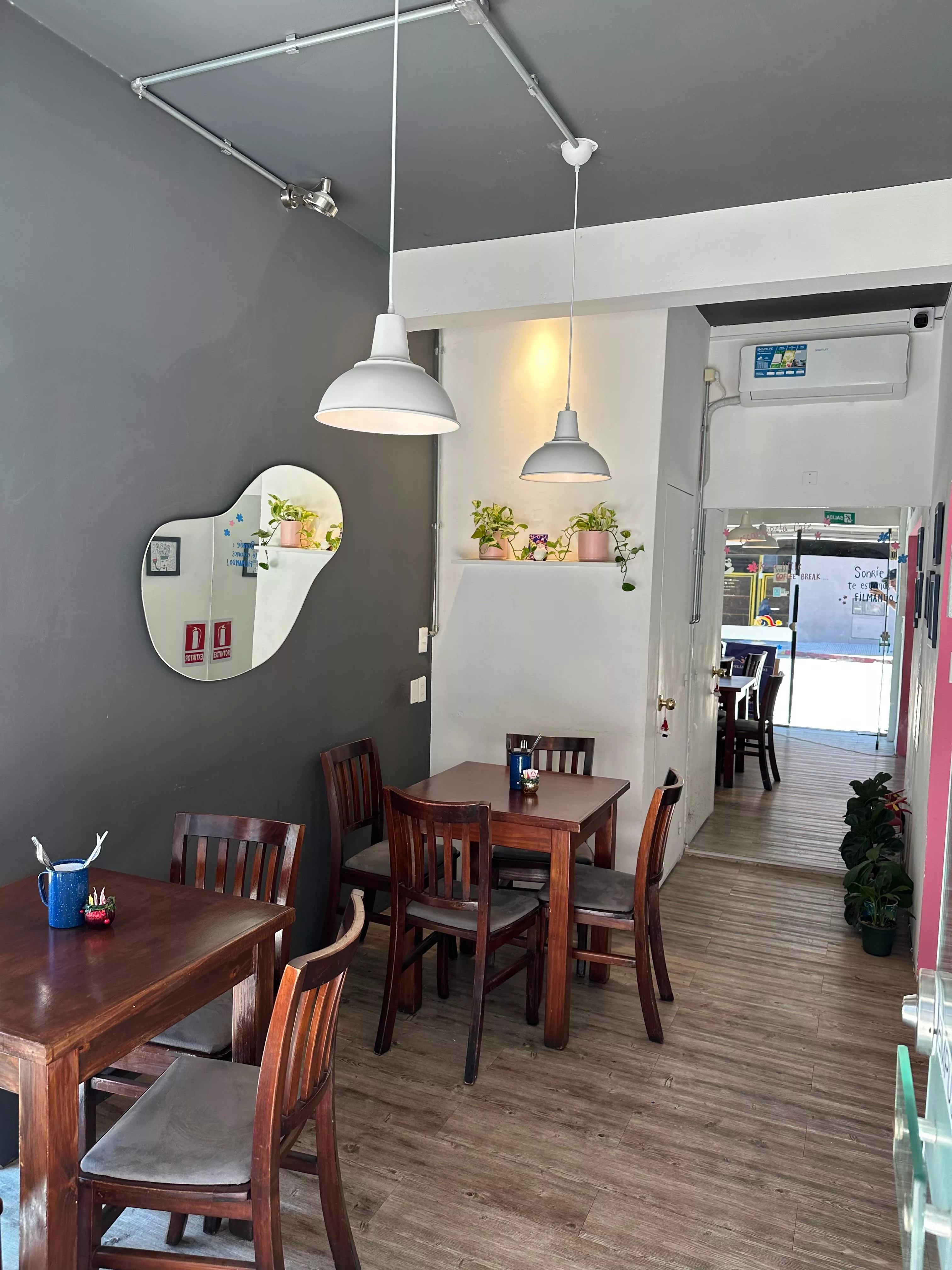 Imagen de whatsapp 2025 11 26 a las 11.17.44 de19e696