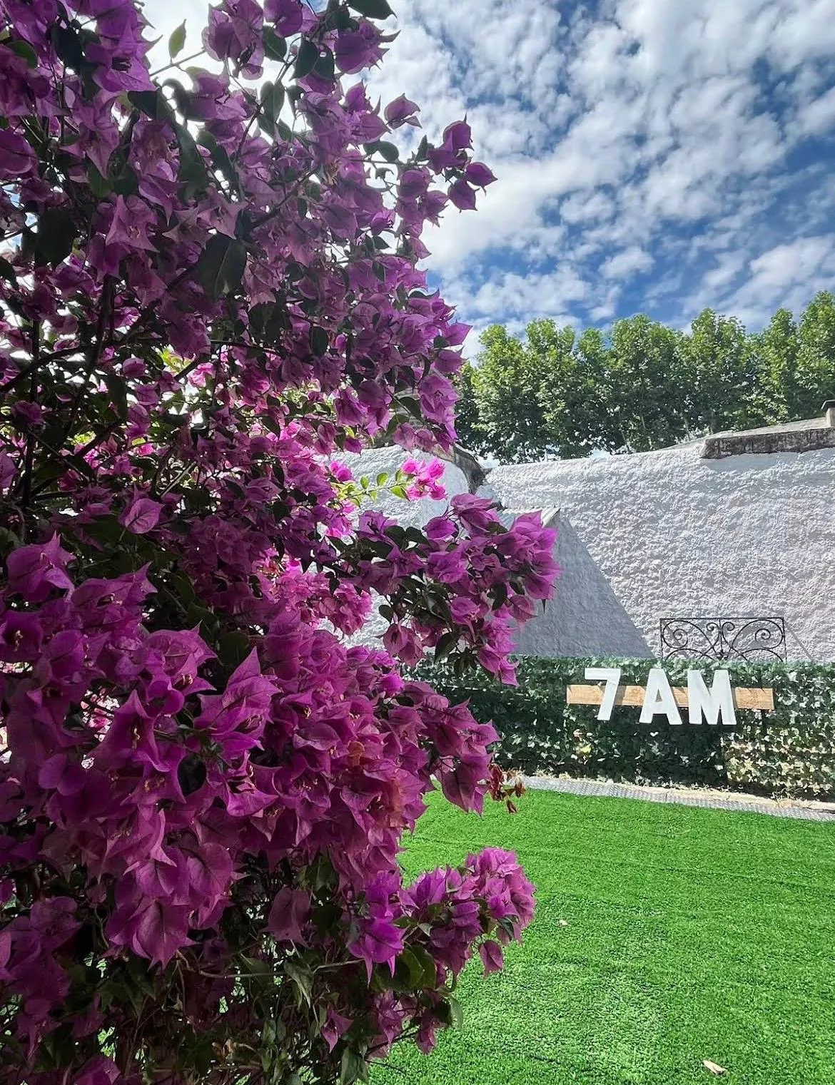 Whatsapp image 2026 04 17 at 14.13.48